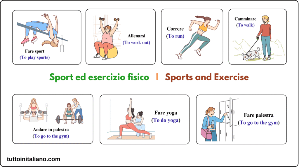 learn Italian vocabulary A1