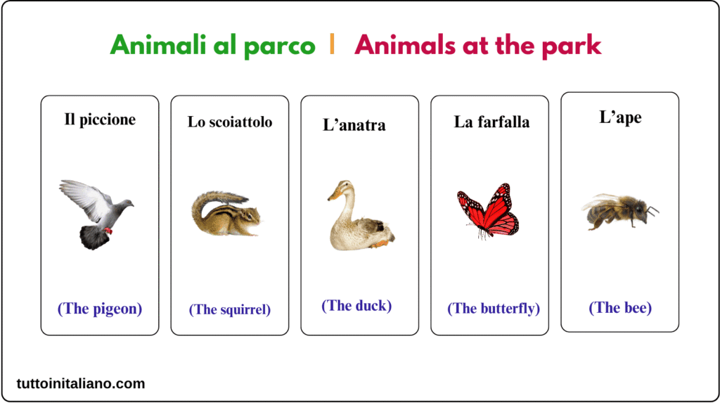 Il parco pubblico / The public park 5 Learn Italian vocabulary the pubblic park