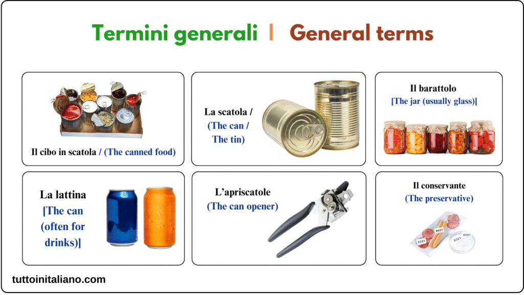 Cibo in scatola e in barattolo / Canned and jarred food 1 Learn Italian language the Canned and jarred food in Italian
