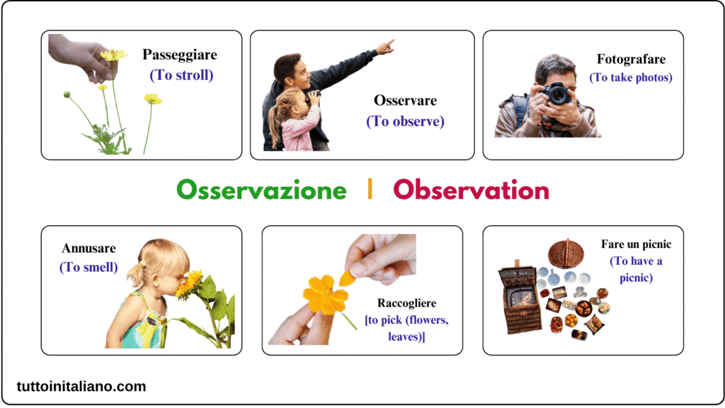 Attività al parco / Activities at the park 2 Learn Italian Verbs activities at the park