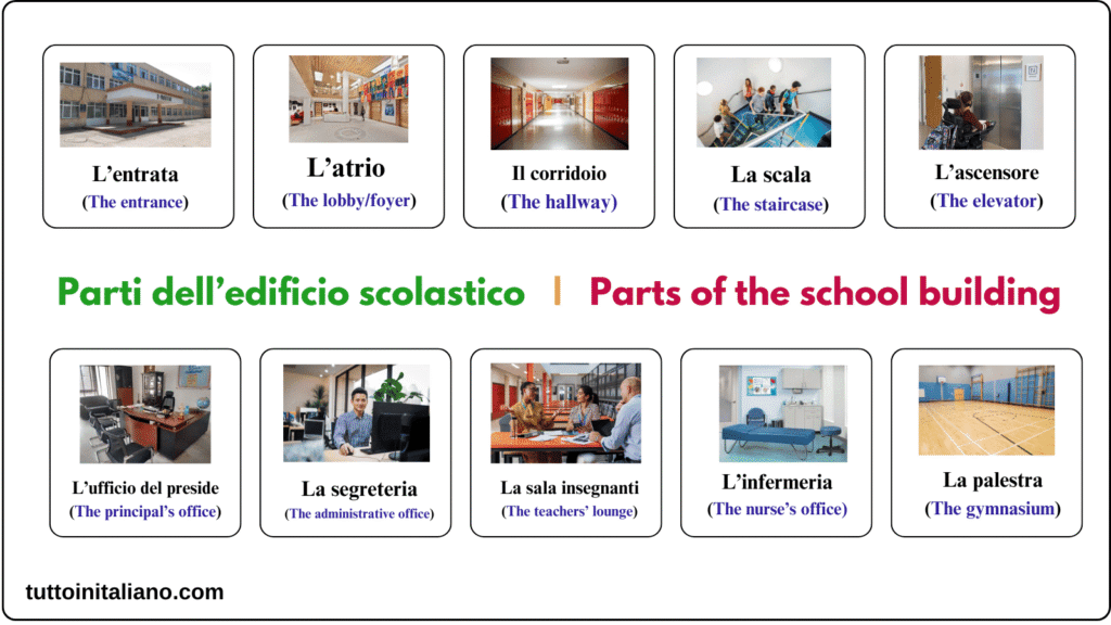 Learn Italian school vocabulary